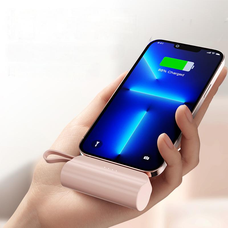 PB501